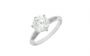 ANILLO SPICA