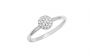 ANILLO VEGA